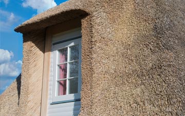 Colstrope thatch roof disadvantages